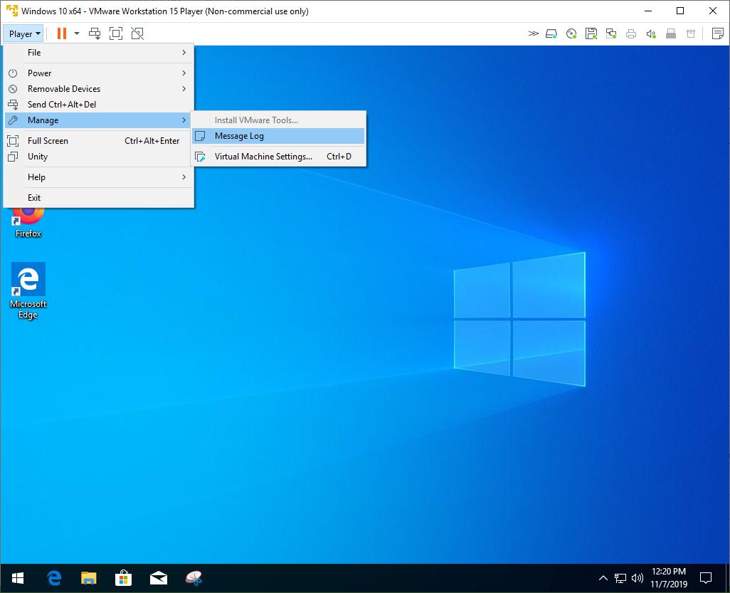 vmware image windows 10