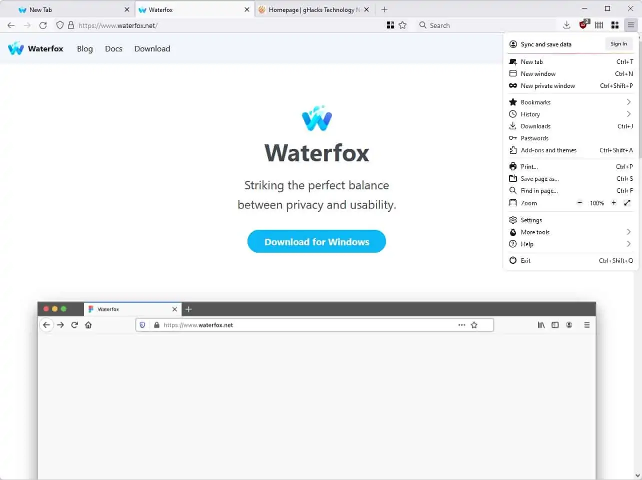 Waterfox-g4-lepton-theme-main-menu.webp