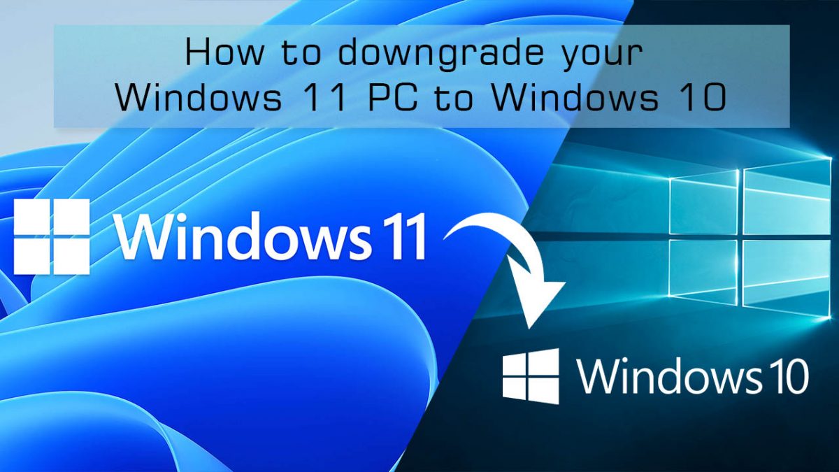 Windows 11 too heavy for your ageing PC? Try Tiny11